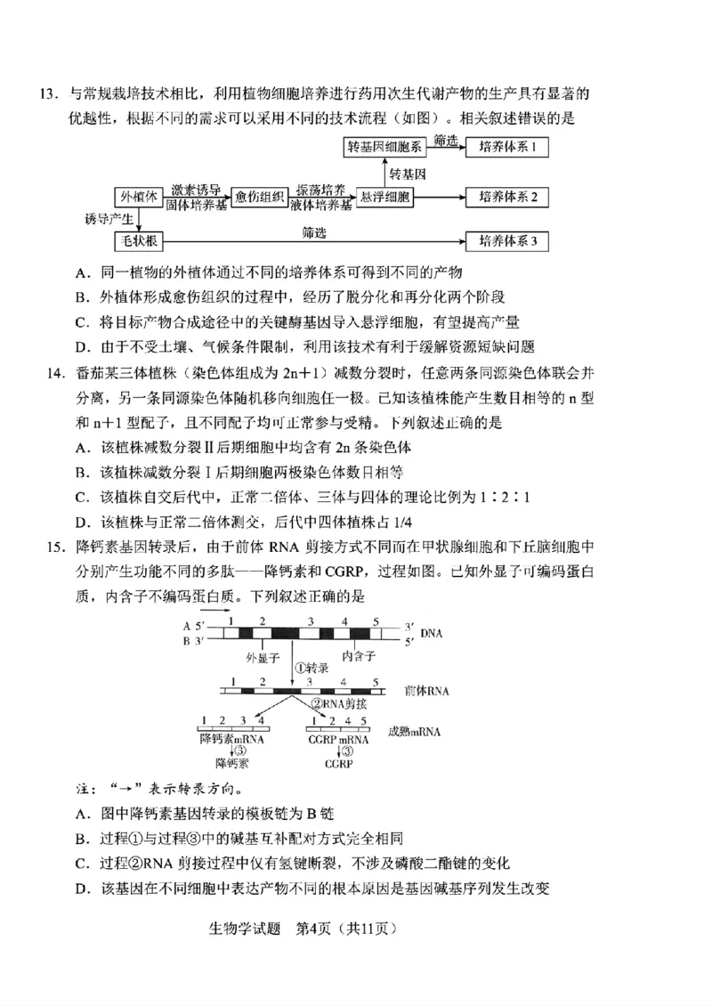 《生物-2026届长春高三下三模_2024-2027高三（6-6月题库）_2026年05月高三试卷_2605092026届长春三模试题(东北三省四市联考)（全科）》第4页预览