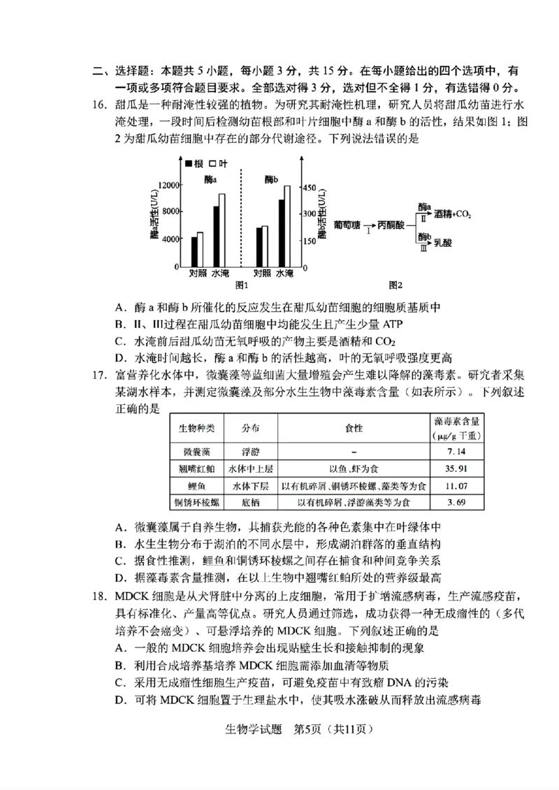 《生物-2026届长春高三下三模_2024-2027高三（6-6月题库）_2026年05月高三试卷_2605092026届长春三模试题(东北三省四市联考)（全科）》第5页预览