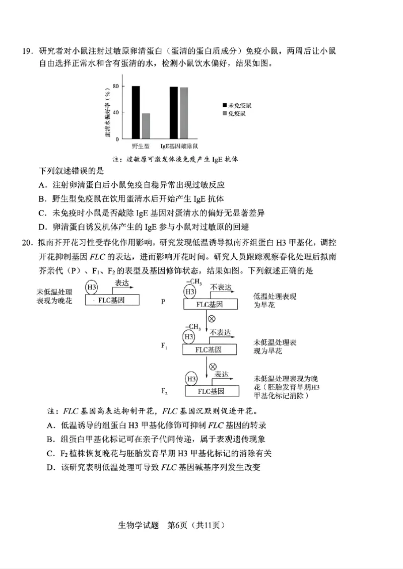 《生物-2026届长春高三下三模_2024-2027高三（6-6月题库）_2026年05月高三试卷_2605092026届长春三模试题(东北三省四市联考)（全科）》第6页预览