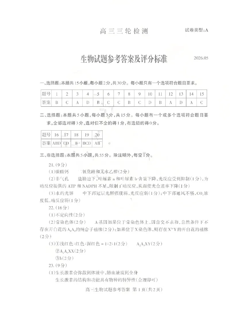 《泰安市2026年5月高三三轮检测生物答案_2024-2027高三（6-6月题库）_2026年05月高三试卷_260515山东省泰安市2026年5月高三三轮检测（泰安三模）（全科）》第1页预览