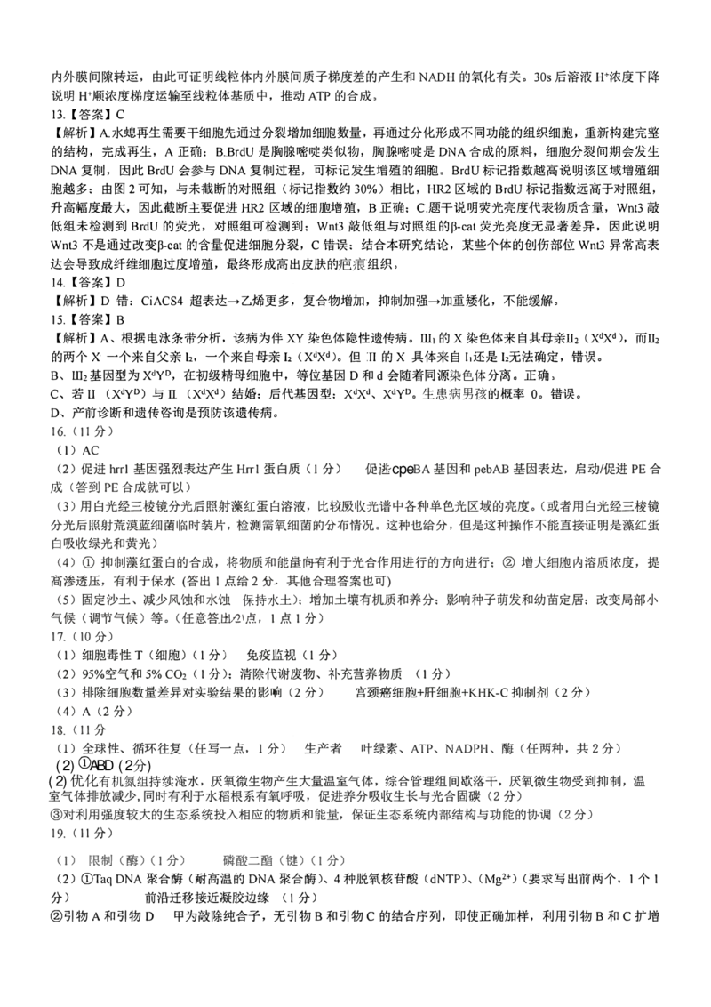 《生物试题卷答案_2024-2027高三（6-6月题库）_2026年05月高三试卷_260507重庆市育才中学高2026届高三年级（下）高考模拟考试（一）(全科）》第2页预览
