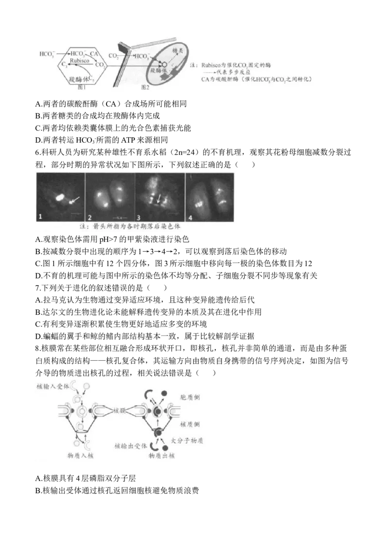 《生物+答案江苏省扬州市2026届高三下学期考前模拟（四模）_2024-2027高三（6-6月题库）_2026年05月高三试卷_260525江苏省扬州市2026届高三下学期考前模拟（四模）（全科）》第2页预览