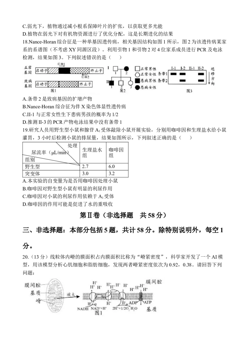 《生物+答案江苏省扬州市2026届高三下学期考前模拟（四模）_2024-2027高三（6-6月题库）_2026年05月高三试卷_260525江苏省扬州市2026届高三下学期考前模拟（四模）（全科）》第5页预览