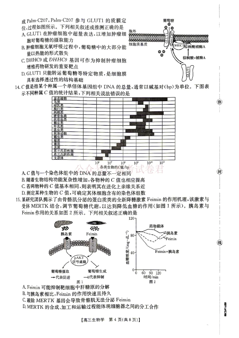 《江西“三新”协同教研共同体2026届高三4月学科阶段训练（26-318C）生物_副本_12.2026年4月全国各地高考模拟卷_2026年4月_06生物_江西“三新”协同教研共同体高三4月学科阶段训练（26-318C）》第4页预览