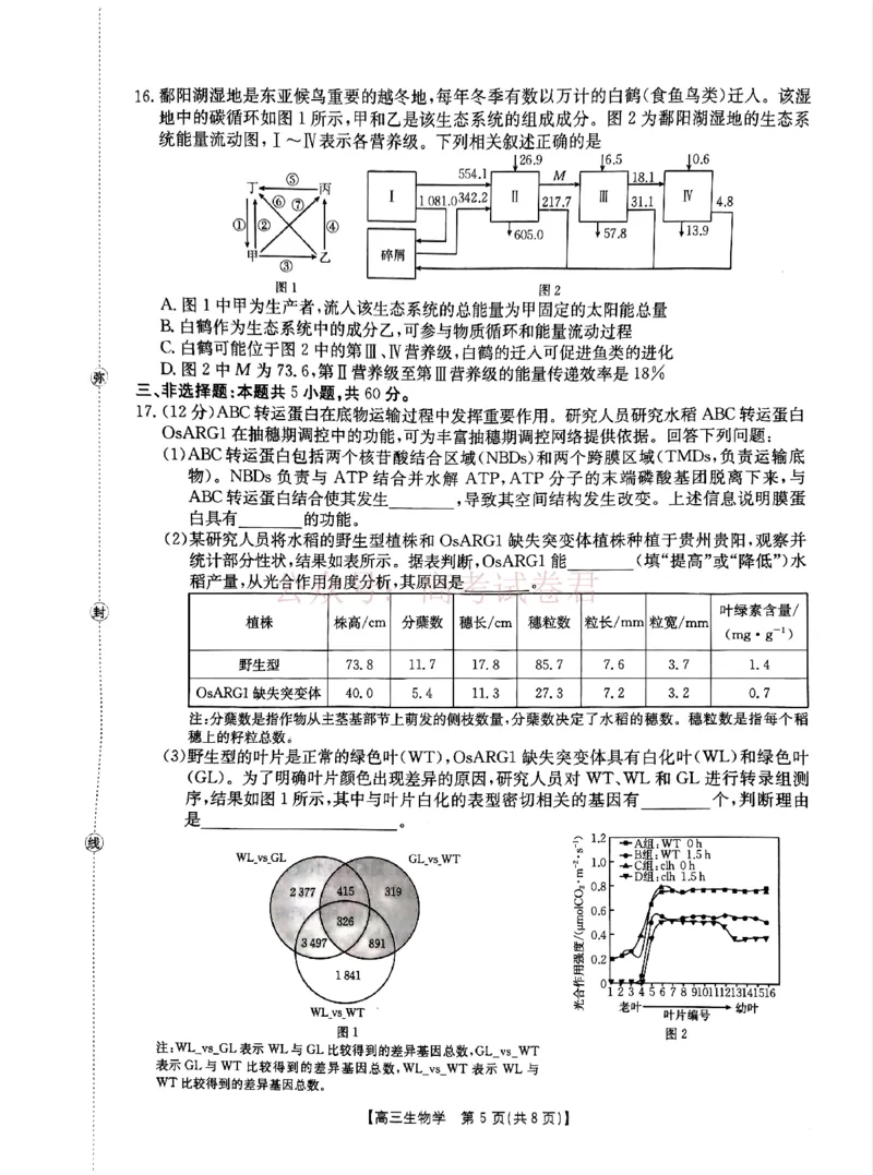 《江西“三新”协同教研共同体2026届高三4月学科阶段训练（26-318C）生物_副本_12.2026年4月全国各地高考模拟卷_2026年4月_06生物_江西“三新”协同教研共同体高三4月学科阶段训练（26-318C）》第5页预览