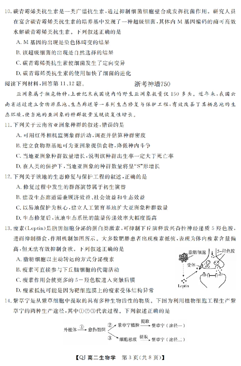 《生物卷-2605高二强基联盟_2024-2027高二（7-7月题库）_2026年06月高二试卷_260603浙江强基联盟2025-2026学年高二下学期5月阶段检测（全）》第3页预览