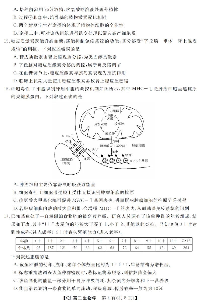 《生物卷-2605高二强基联盟_2024-2027高二（7-7月题库）_2026年06月高二试卷_260603浙江强基联盟2025-2026学年高二下学期5月阶段检测（全）》第4页预览