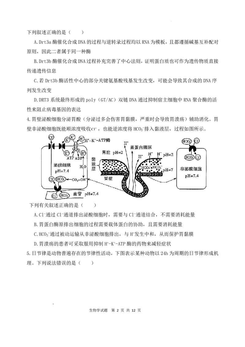 《生物试题_2024-2027高三（6-6月题库）_2026年05月高三试卷_260518陕西省西安市陕西师范大学附属中学2025-2026学年高三下学期5月阶段检测（全科）》第2页预览