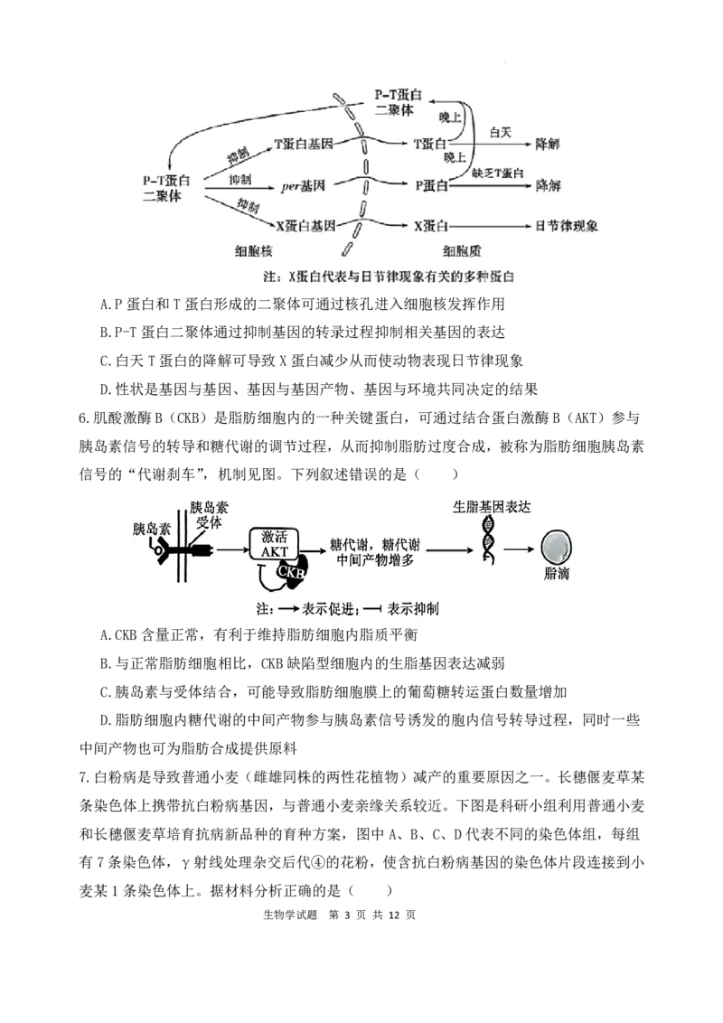 《生物试题_2024-2027高三（6-6月题库）_2026年05月高三试卷_260518陕西省西安市陕西师范大学附属中学2025-2026学年高三下学期5月阶段检测（全科）》第3页预览