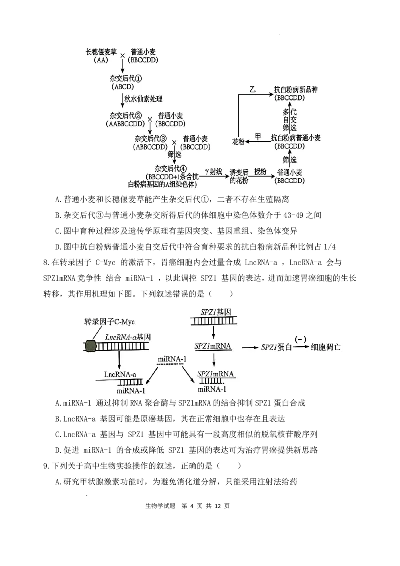 《生物试题_2024-2027高三（6-6月题库）_2026年05月高三试卷_260518陕西省西安市陕西师范大学附属中学2025-2026学年高三下学期5月阶段检测（全科）》第4页预览