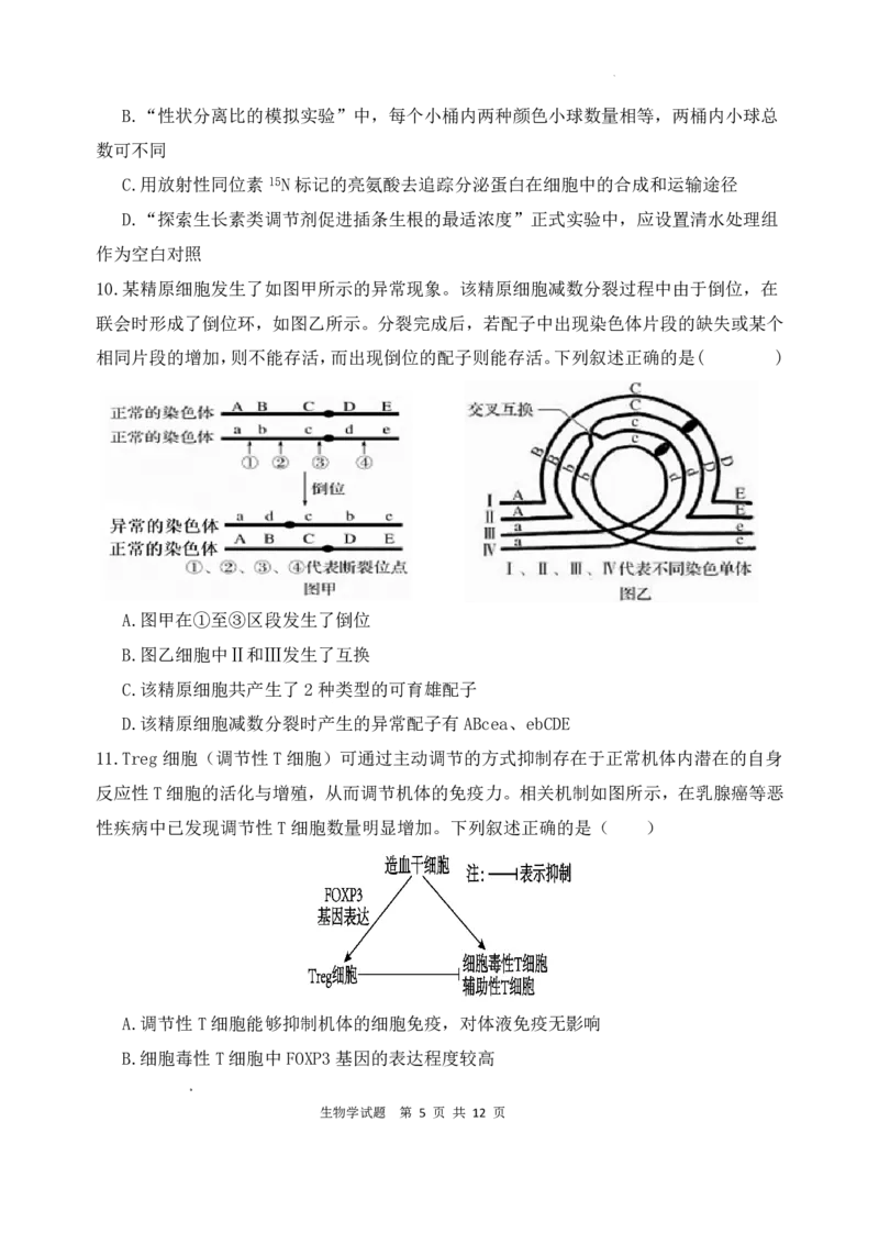 《生物试题_2024-2027高三（6-6月题库）_2026年05月高三试卷_260518陕西省西安市陕西师范大学附属中学2025-2026学年高三下学期5月阶段检测（全科）》第5页预览