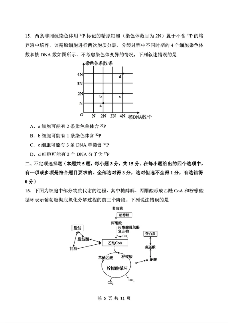 《生物-东北师大2026届高三下五月模拟考试_2024-2027高三（6-6月题库）_2026年05月高三试卷_260511东北师范大学附属中学2026年高三5月模拟考试（全科）》第5页预览