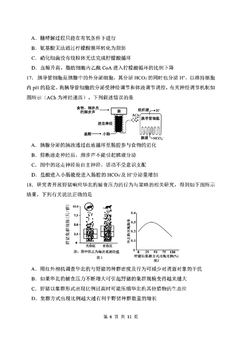 《生物-东北师大2026届高三下五月模拟考试_2024-2027高三（6-6月题库）_2026年05月高三试卷_260511东北师范大学附属中学2026年高三5月模拟考试（全科）》第6页预览