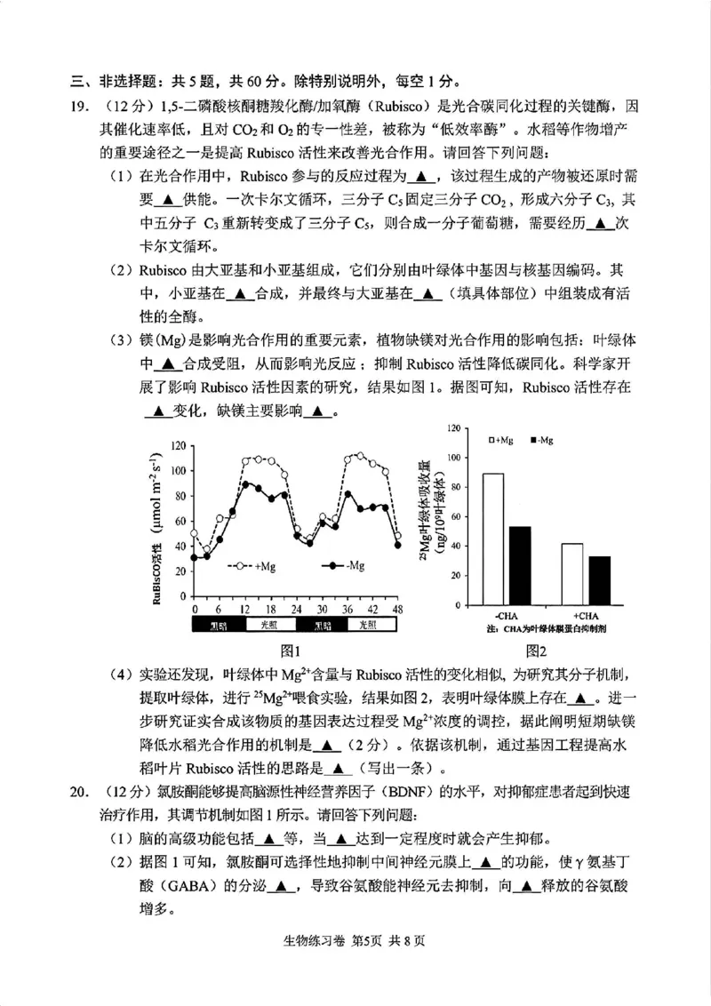 《生物卷+答案江苏苏州市2026届高三下学期考前学情自测_2024-2027高三（6-6月题库）_2026年05月高三试卷_260523江苏苏州市2026届高三下学期考前学情自测（三模）》第5页预览