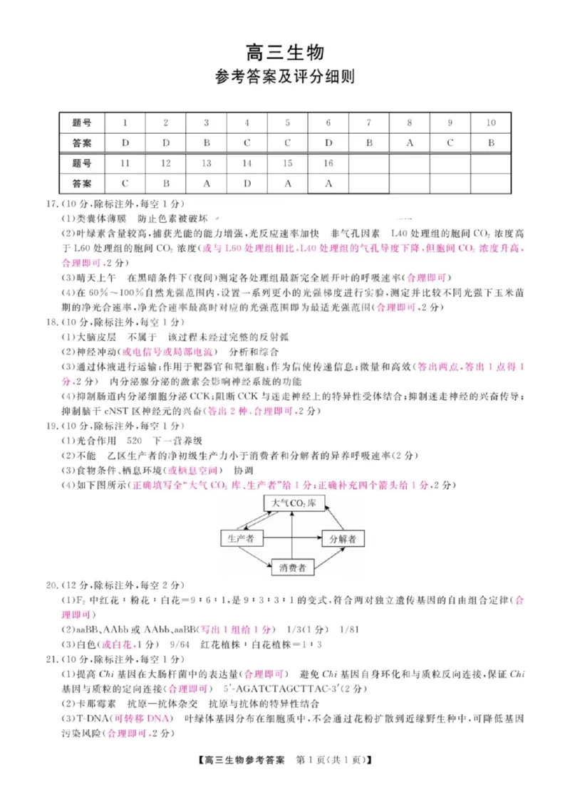 《生物答案_2024-2027高三（6-6月题库）_2026年05月高三试卷_260502山西2026届高三金科大联考（全科）_生物》第1页预览