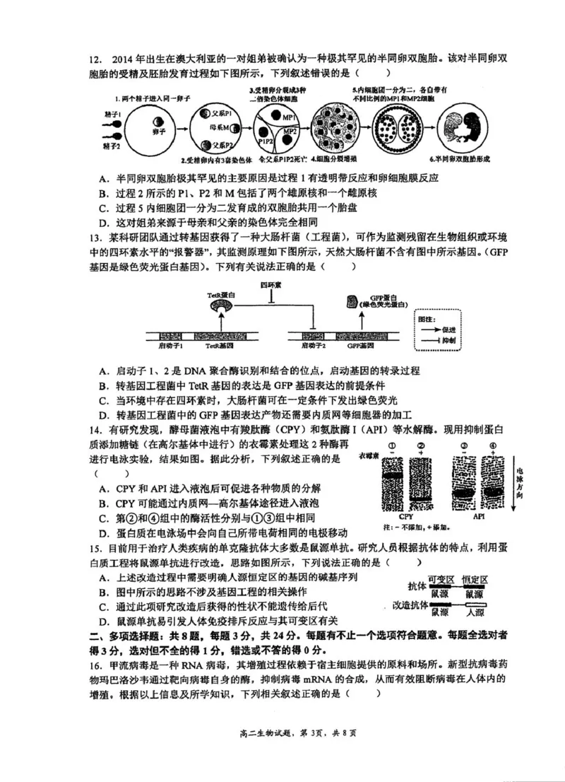 《江苏省泰州中学2025-2026学年高二下学期期中考试生物（扫描版，含答案）_2024-2027高二（7-7月题库）_2026年05月高二试卷_260530江苏省泰州中学2025-2026学年高二下学期期中考试》第4页预览