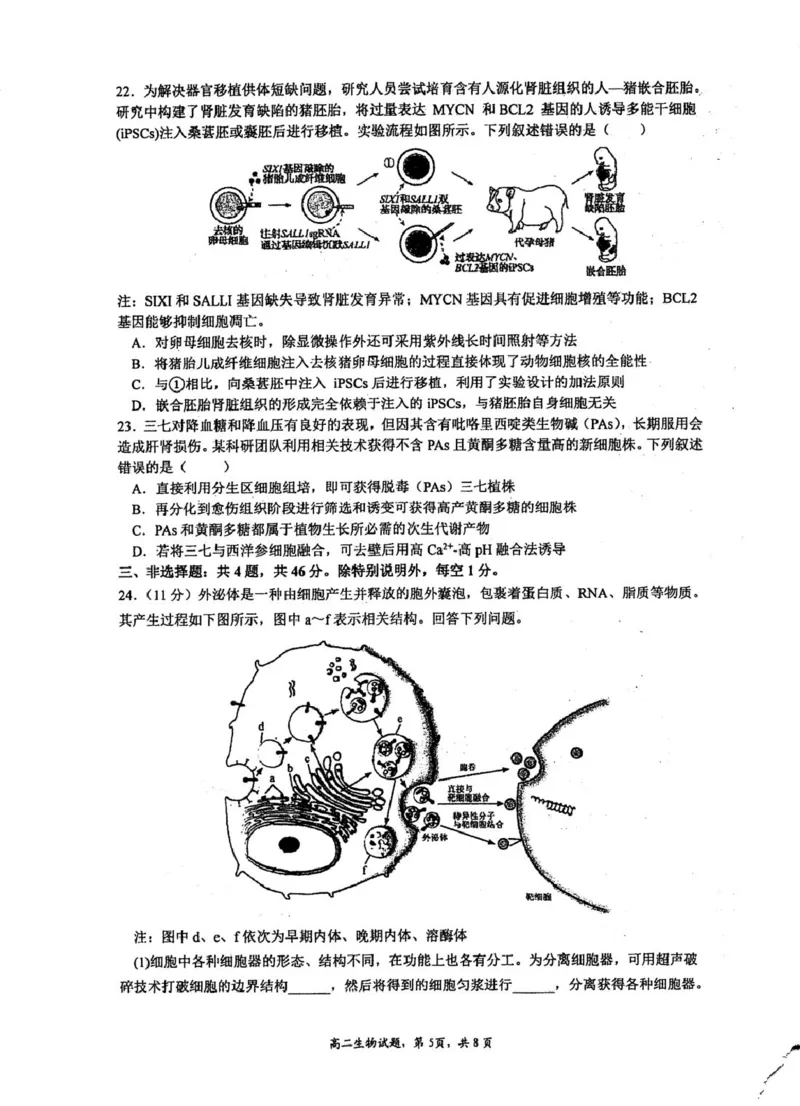 《江苏省泰州中学2025-2026学年高二下学期期中考试生物（扫描版，含答案）_2024-2027高二（7-7月题库）_2026年05月高二试卷_260530江苏省泰州中学2025-2026学年高二下学期期中考试》第5页预览