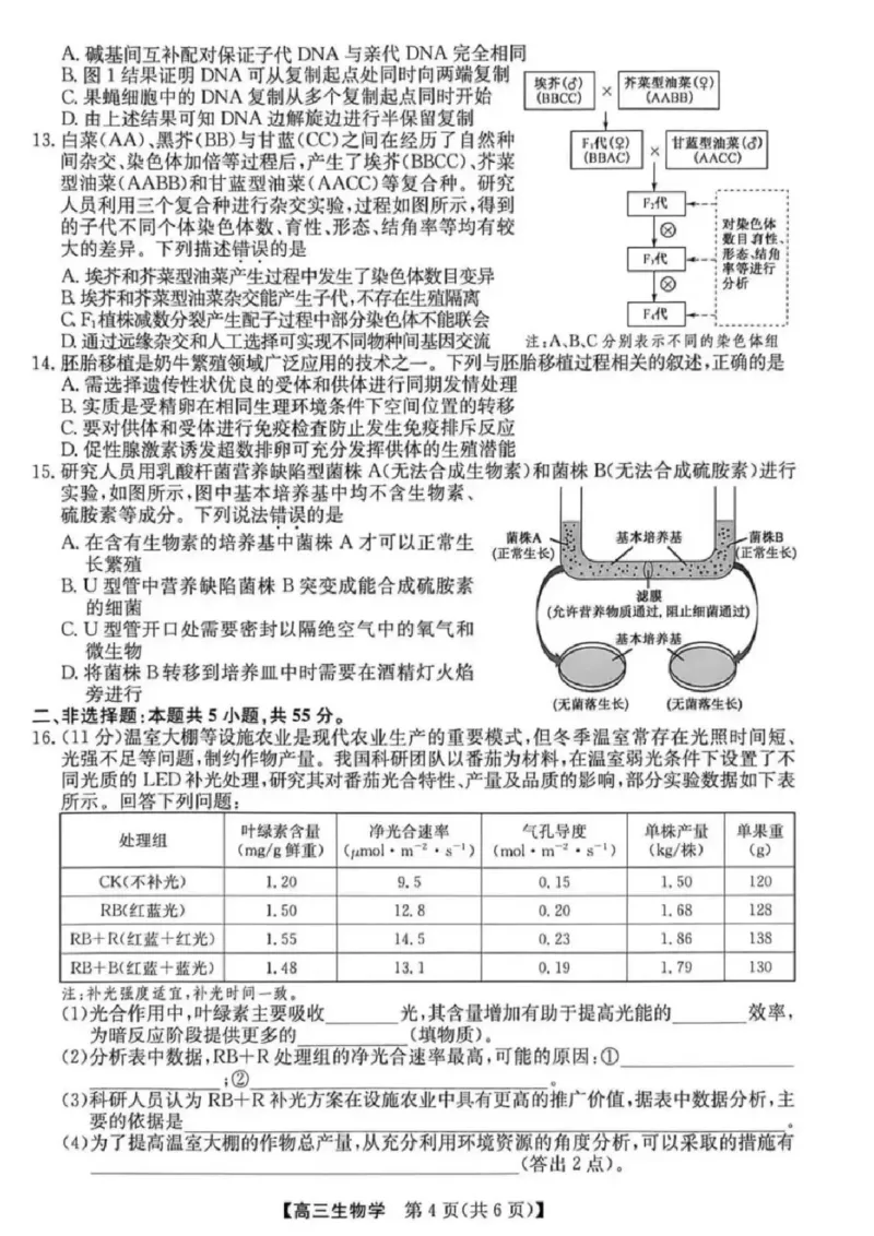 《生物试卷（含答案）-安徽省合肥市2026届高三下学期5月教学质量检测（三模）_2024-2027高三（6-6月题库）_2026年05月高三试卷》第4页预览