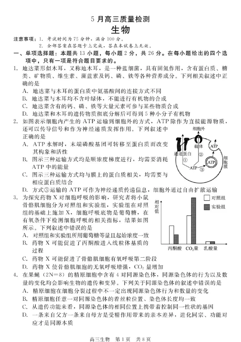《河北省NT20名校联合体高三年级5月高三质量检测生物试卷_2024-2027高三（6-6月题库）_2026年05月高三试卷_260514河北省NT20名校联合体2026届高三5月质量检测（全科）》第1页预览