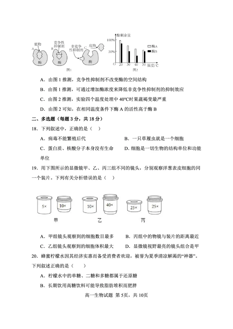 《江苏省连云港市新浦中学等9校联考2025-2026学年高一上学期期中考试生物PDF版含答案_2026年高一《月考+期中考+阶段性检测真题合集》全国各省全科无水印》第5页预览