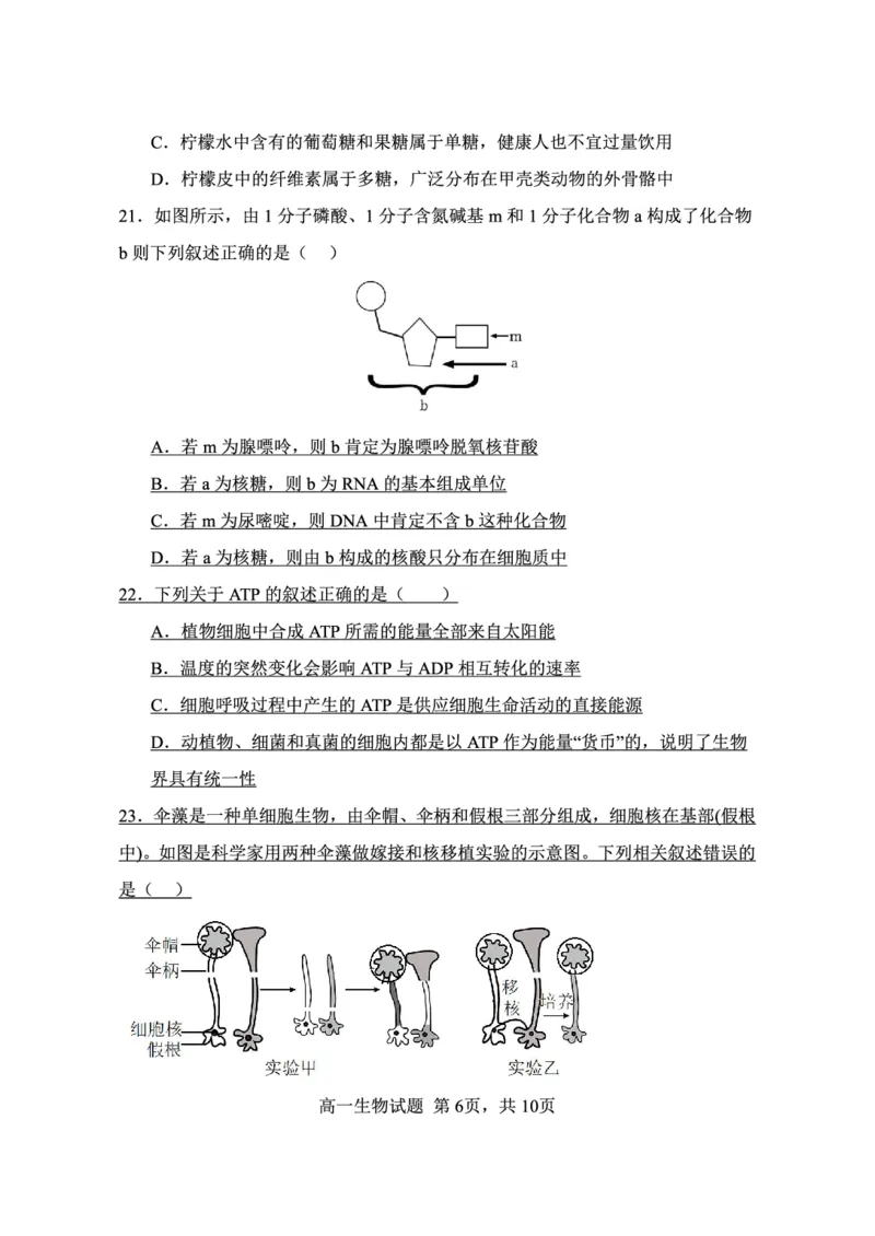 《江苏省连云港市新浦中学等9校联考2025-2026学年高一上学期期中考试生物PDF版含答案_2026年高一《月考+期中考+阶段性检测真题合集》全国各省全科无水印》第6页预览