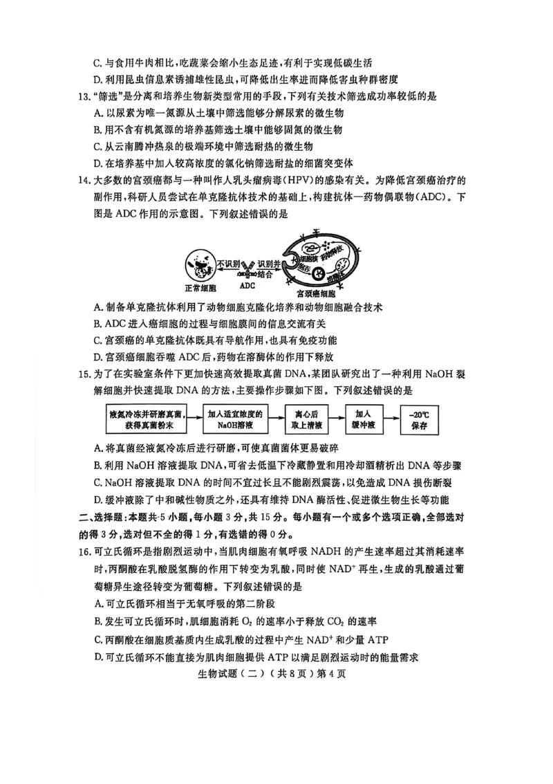 《聊城市2026年普通高中学业水平等级考试模拟卷生物_2024-2027高三（6-6月题库）_2026年05月高三试卷_260503山东省聊城市2026年普通高中学业水平等级考试模拟卷（聊城二模）（全科）》第4页预览