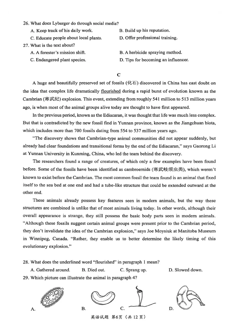 《英语试题卷-福建省厦门市2026届高中毕业班5月适应性练习_2024-2027高三（6-6月题库）_2026年05月高三试卷_260512福建省厦门市2026届高中毕业班5月适应性练习（全科）》第6页预览