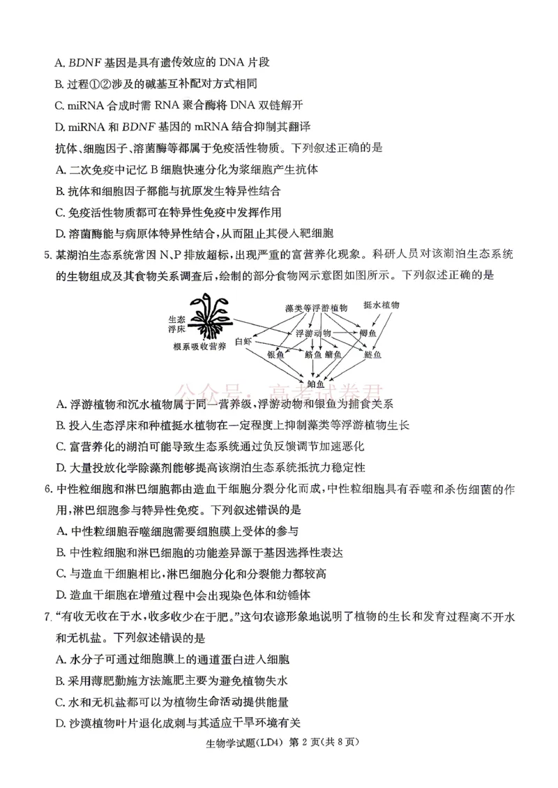 《衡阳市2026届高三下学期第二次联考生物_副本_副本_副本_12.2026年4月全国各地高考模拟卷_2026年4月_湖南衡阳二联2026年湖南省衡阳市高三下学期第二次联考全科》第2页预览