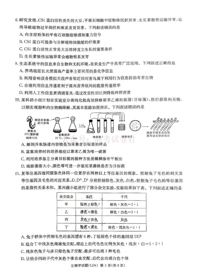 《衡阳市2026届高三下学期第二次联考生物_副本_副本_副本_12.2026年4月全国各地高考模拟卷_2026年4月_湖南衡阳二联2026年湖南省衡阳市高三下学期第二次联考全科》第3页预览