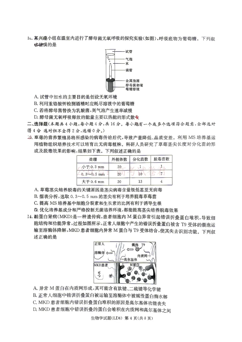 《衡阳市2026届高三下学期第二次联考生物_副本_副本_副本_12.2026年4月全国各地高考模拟卷_2026年4月_湖南衡阳二联2026年湖南省衡阳市高三下学期第二次联考全科》第4页预览