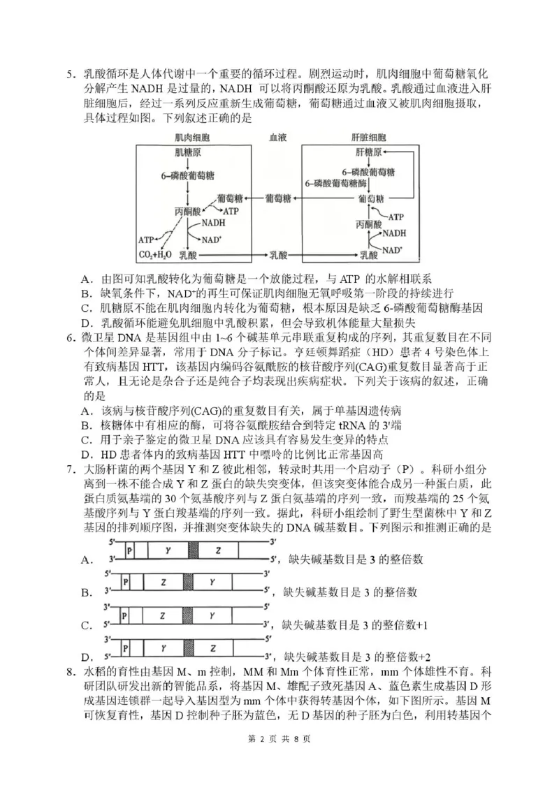 《绵阳南山中学高2023级高考热手考试生物_2024-2027高三（6-6月题库）_2026年06月高三试卷_260603四川省绵阳南山中学高2023级高考热手考试（全科）》第2页预览