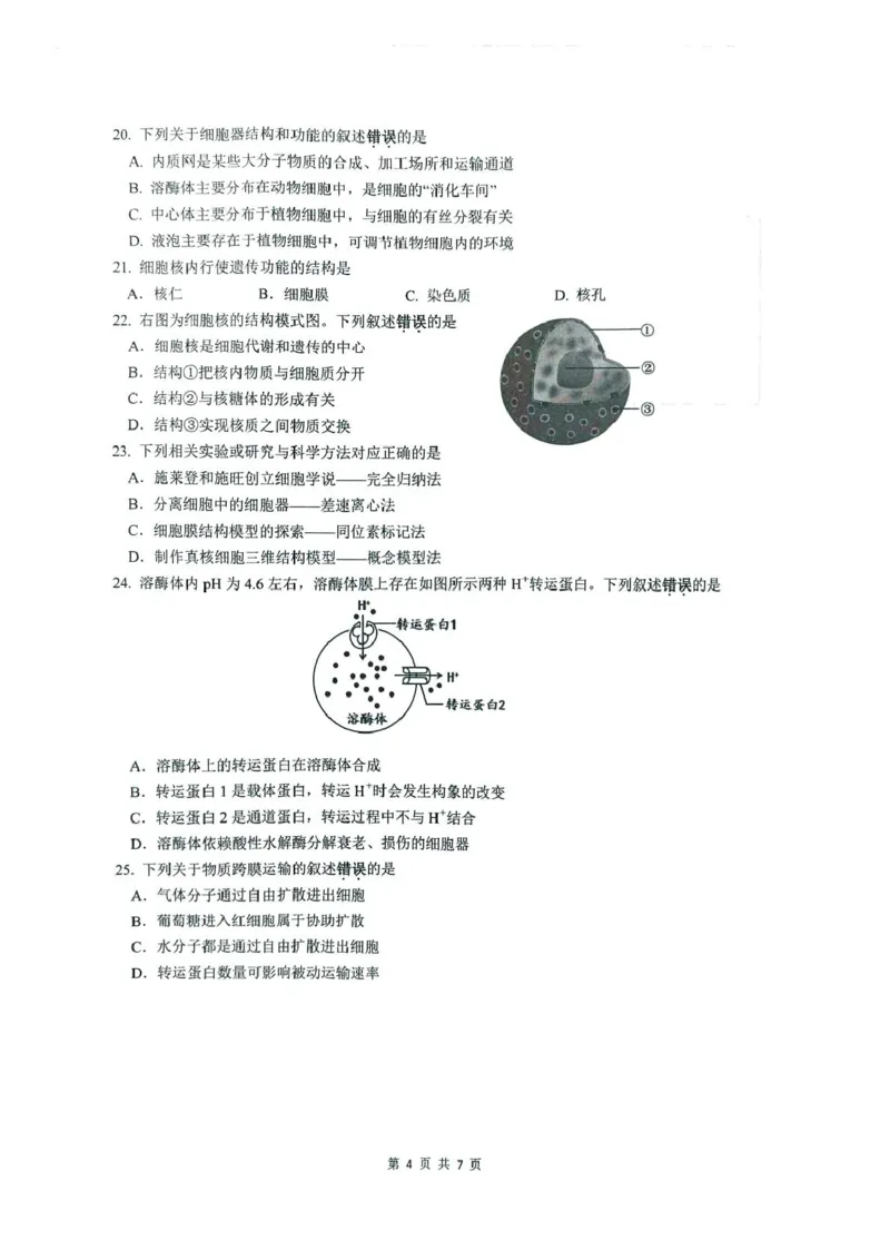 《江苏省镇江市2025-2026学年高一上学期期中考试生物PDF版含答案_2026年高一《月考+期中考+阶段性检测真题合集》全国各省全科无水印》第4页预览