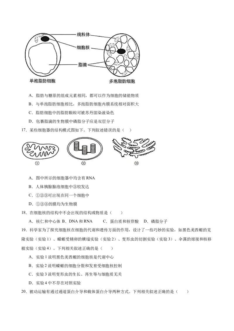 《河北省张家口市2025-2026学年高一上学期期中考试生物Word版含答案_2026年高一《月考+期中考+阶段性检测真题合集》全国各省全科无水印_河北省张家口市2026学年高一上学期期中考试》第4页预览