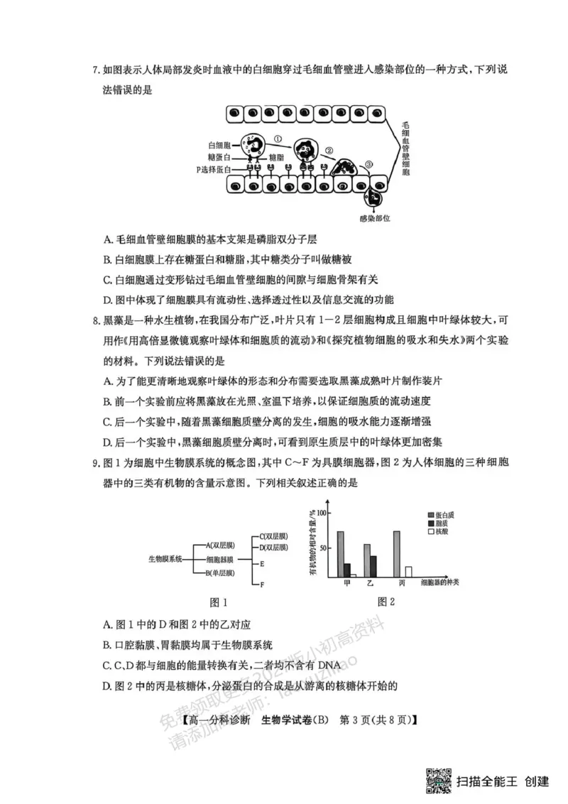 《江南十校2025-2026学年高一上学期12月联考生物B_2026年高一《月考+期中考+阶段性检测真题合集》全国各省全科无水印_安徽省江南十校2026学年高一上学期12月联考(全)》第3页预览