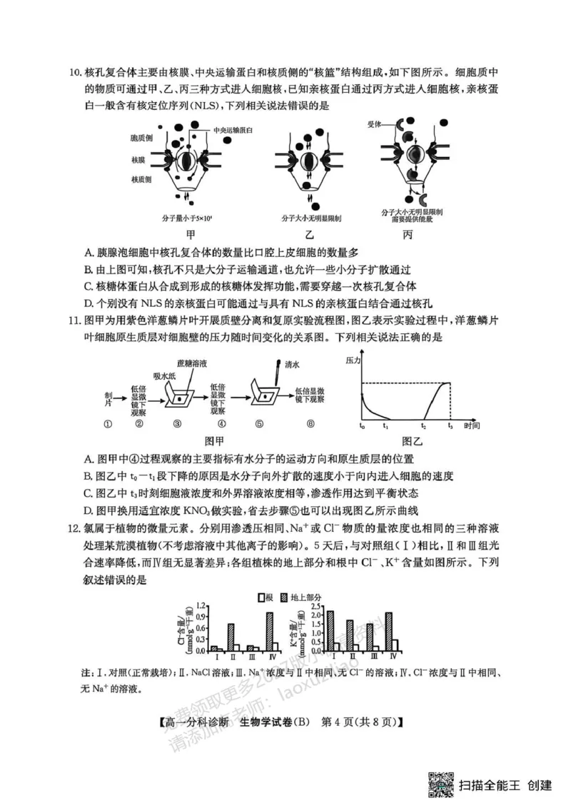 《江南十校2025-2026学年高一上学期12月联考生物B_2026年高一《月考+期中考+阶段性检测真题合集》全国各省全科无水印_安徽省江南十校2026学年高一上学期12月联考(全)》第4页预览