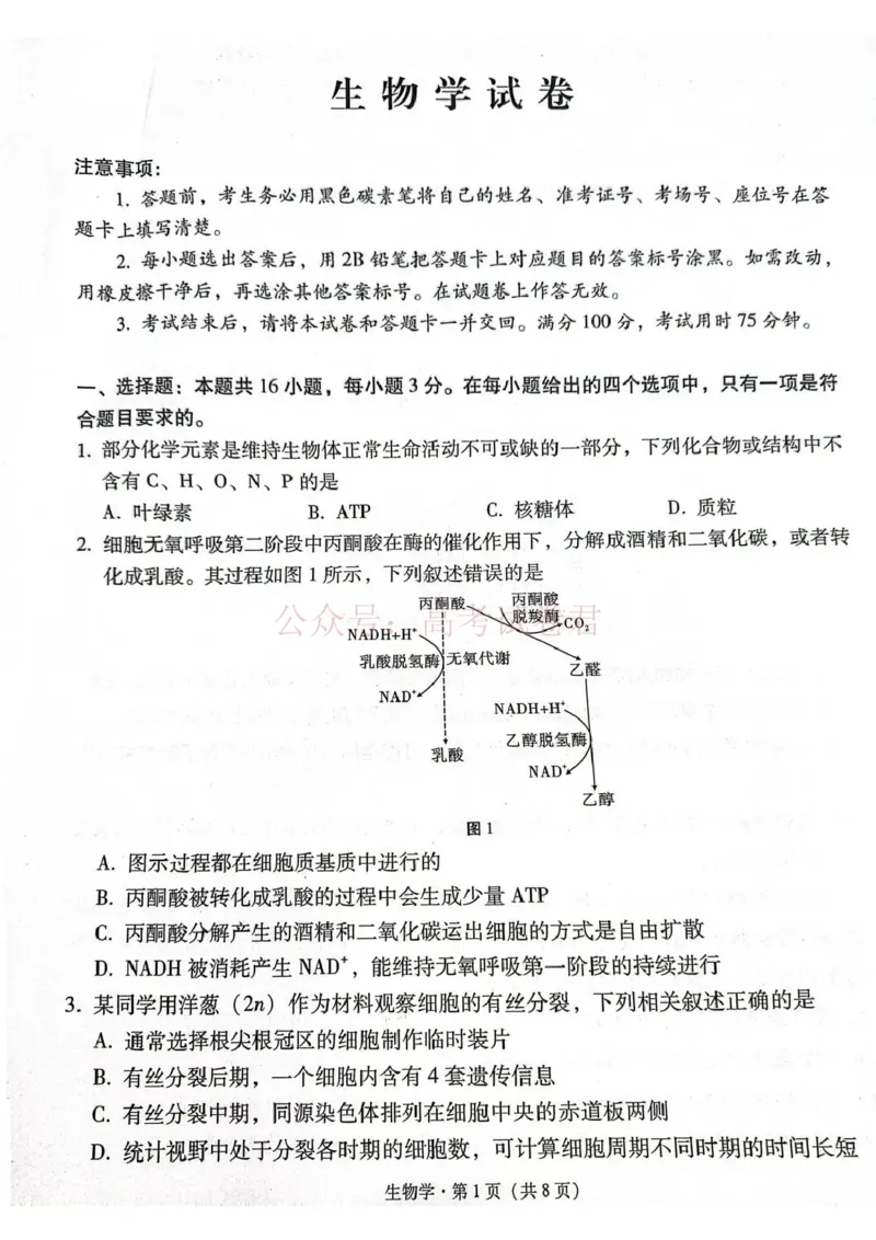 《西南名校联盟2026届“3+3+3”高考备考诊断性联考（三）生物_副本_副本_副本_12.2026年4月全国各地高考模拟卷_2026年4月_06生物_云南省西南名校联盟3+3+3高三年级下学期4月联考(4.16-4.17)》第1页预览