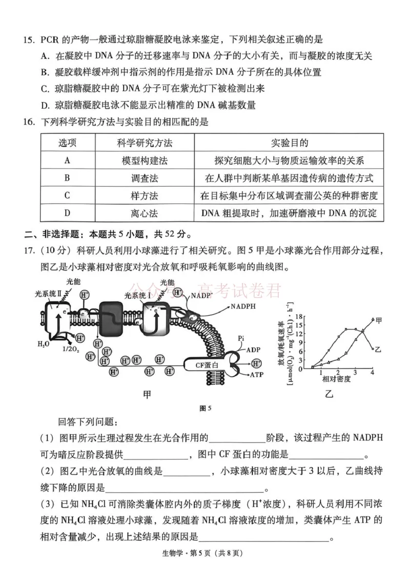 《西南名校联盟2026届“3+3+3”高考备考诊断性联考（三）生物_副本_副本_副本_12.2026年4月全国各地高考模拟卷_2026年4月_06生物_云南省西南名校联盟3+3+3高三年级下学期4月联考(4.16-4.17)》第5页预览