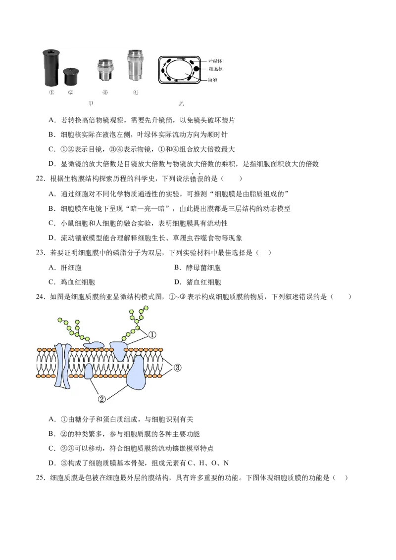 《江苏省徐州市2025-2026学年高一上学期期中考试生物Word版含答案_2026年高一《月考+期中考+阶段性检测真题合集》全国各省全科无水印_江苏省徐州市2026学年高一上学期期中考试（全）》第5页预览