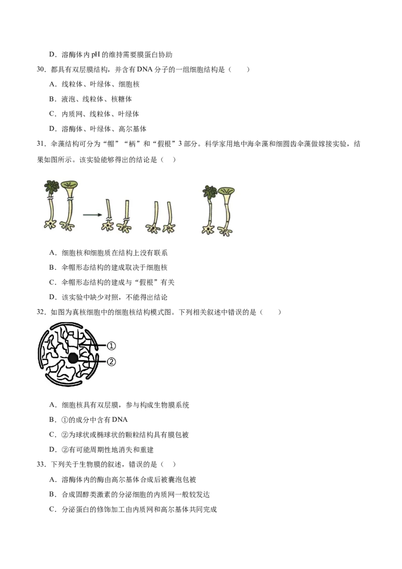 《江苏省徐州市2025-2026学年高一上学期期中考试生物Word版含答案_2026年高一《月考+期中考+阶段性检测真题合集》全国各省全科无水印_江苏省徐州市2026学年高一上学期期中考试（全）》第7页预览