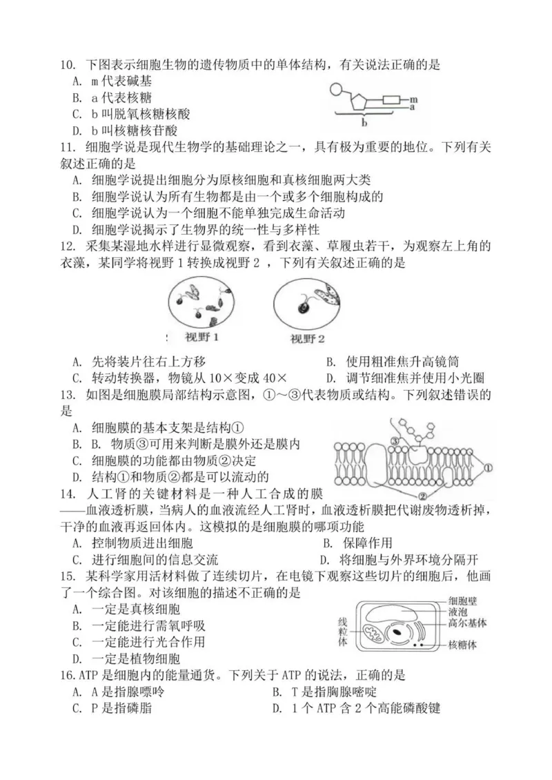 《浙江省诸暨中学暨阳分校2025-2026学年高一上学期11月期中生物试题_2026年高一《月考+期中考+阶段性检测真题合集》全国各省全科无水印》第3页预览