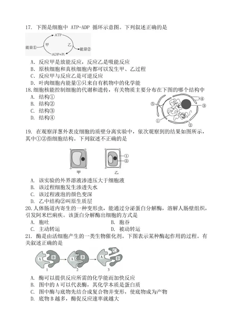 《浙江省诸暨中学暨阳分校2025-2026学年高一上学期11月期中生物试题_2026年高一《月考+期中考+阶段性检测真题合集》全国各省全科无水印》第4页预览