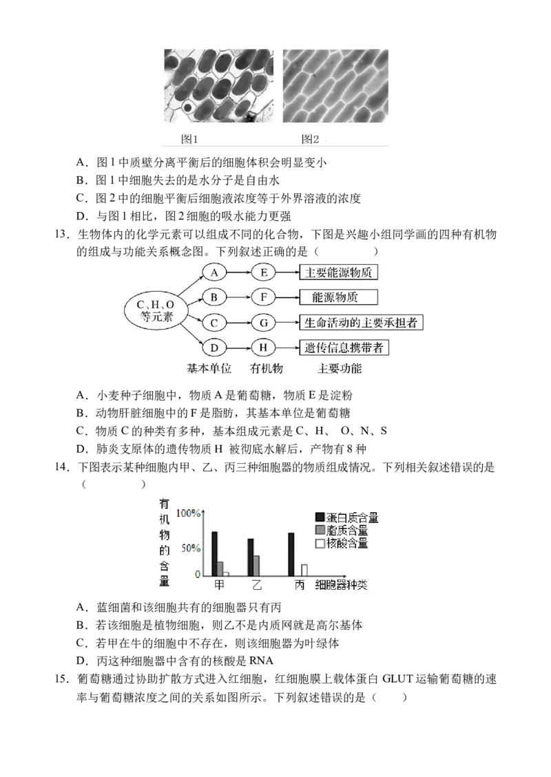 《海南省文昌中学2025-2026学年高一上学期第二次月考生物试题_2026年高一《月考+期中考+阶段性检测真题合集》全国各省全科无水印_海南省文昌中学2026学年高一上学期第二次月考（全）》第4页预览