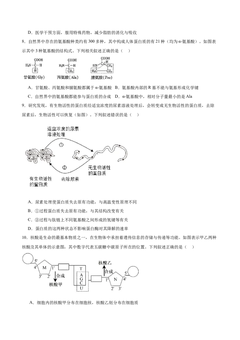 《江西省赣州市十八县（市）二十四校联考2025-2026学年高一上学期11月期中考试生物Word版含答案_2026年高一《月考+期中考+阶段性检测真题合集》全国各省全科无水印》第3页预览