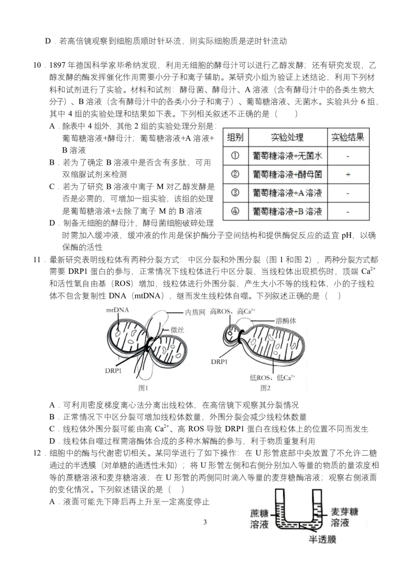 《湖北省荆州市沙市中学2025-2026学年高一上学期12月月考生物试题_2026年高一《月考+期中考+阶段性检测真题合集》全国各省全科无水印》第3页预览
