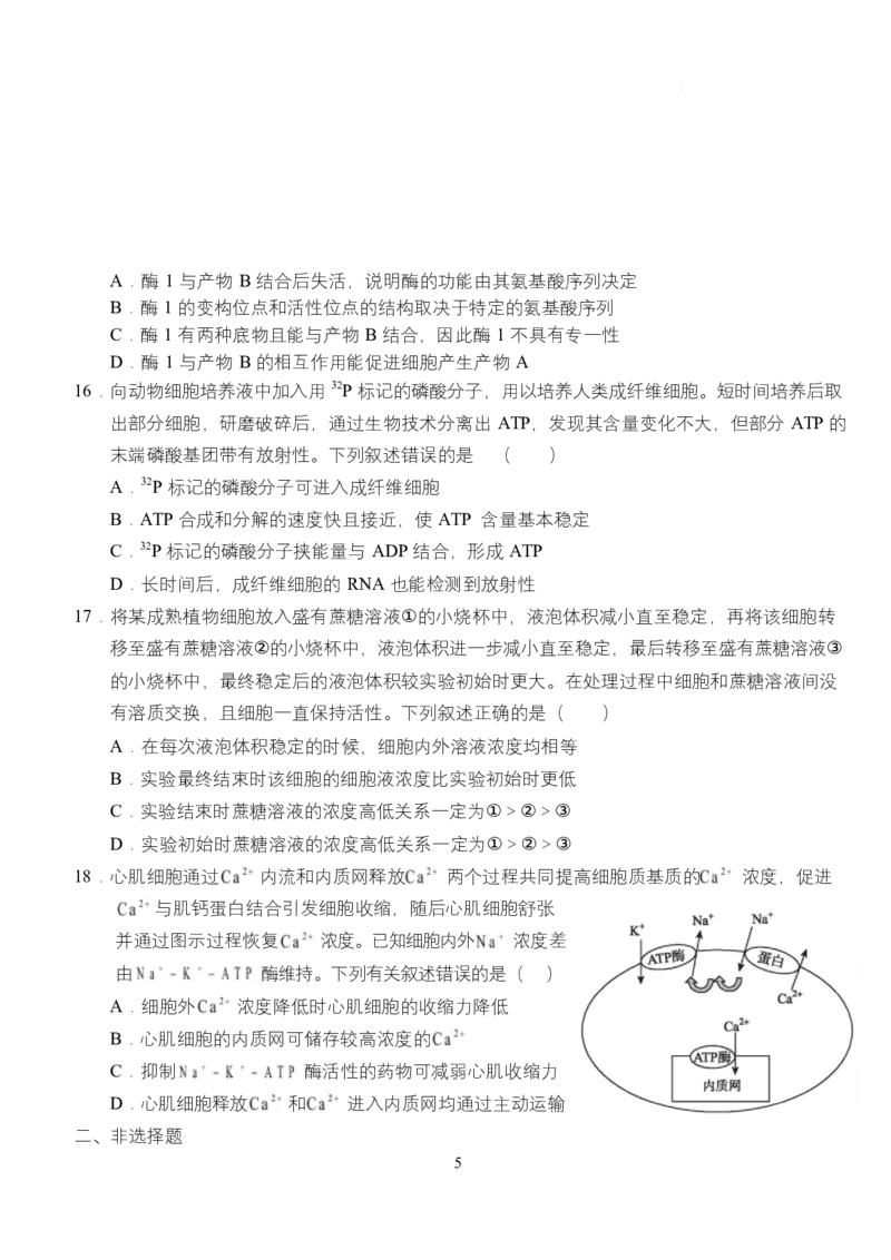 《湖北省荆州市沙市中学2025-2026学年高一上学期12月月考生物试题_2026年高一《月考+期中考+阶段性检测真题合集》全国各省全科无水印》第5页预览