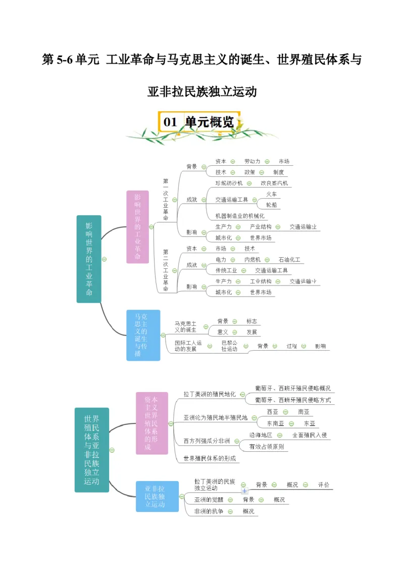 《第5~6单元工业革命与马克思主义的诞生、世界殖民体系与亚非拉民族独立运动（知识清单+素养提升）（统编版中外历史纲要下册）_新版高中_高中历史新版_高中历史纲要下（统编版）》第1页预览