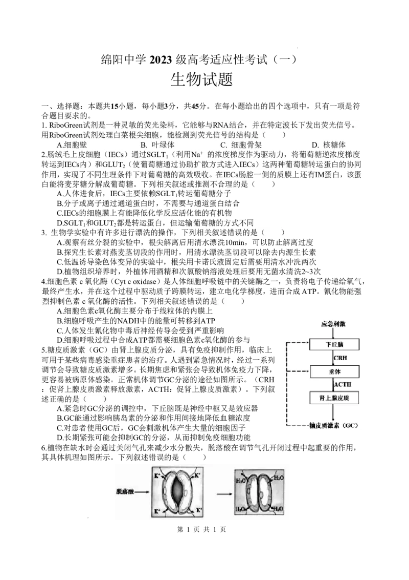 《绵阳中学2023级高考适应性考试（一）生物_2024-2027高三（6-6月题库）_2026年05月高三试卷_260524四川绵阳中学2023级高考适应性考试（一）（全科）》第1页预览