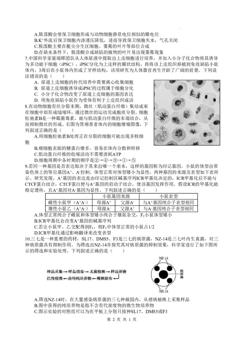 《绵阳中学2023级高考适应性考试（一）生物_2024-2027高三（6-6月题库）_2026年05月高三试卷_260524四川绵阳中学2023级高考适应性考试（一）（全科）》第2页预览