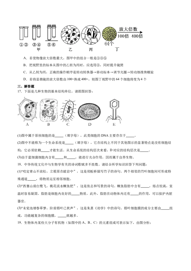 《江西省景德镇市2025-2026学年高一上学期期中考试生物Word版含答案_2026年高一《月考+期中考+阶段性检测真题合集》全国各省全科无水印》第4页预览