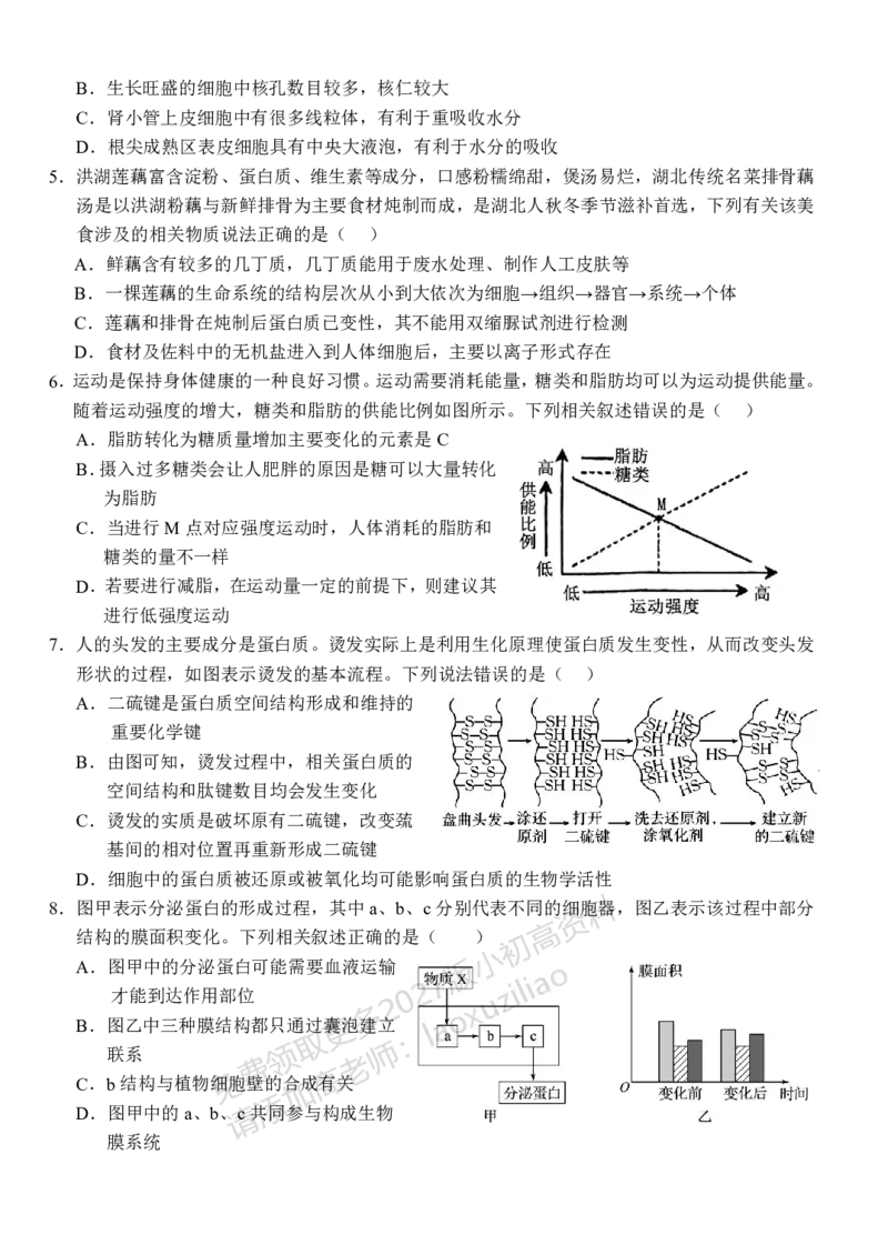 《湖北省荆州市沙市中学2025-2026学年高一上学期11月期中生物试题_2026年高一《月考+期中考+阶段性检测真题合集》全国各省全科无水印》第2页预览